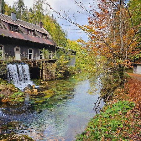 Ferienwohnung Blick ins Grüne Rossleithen Exterior foto